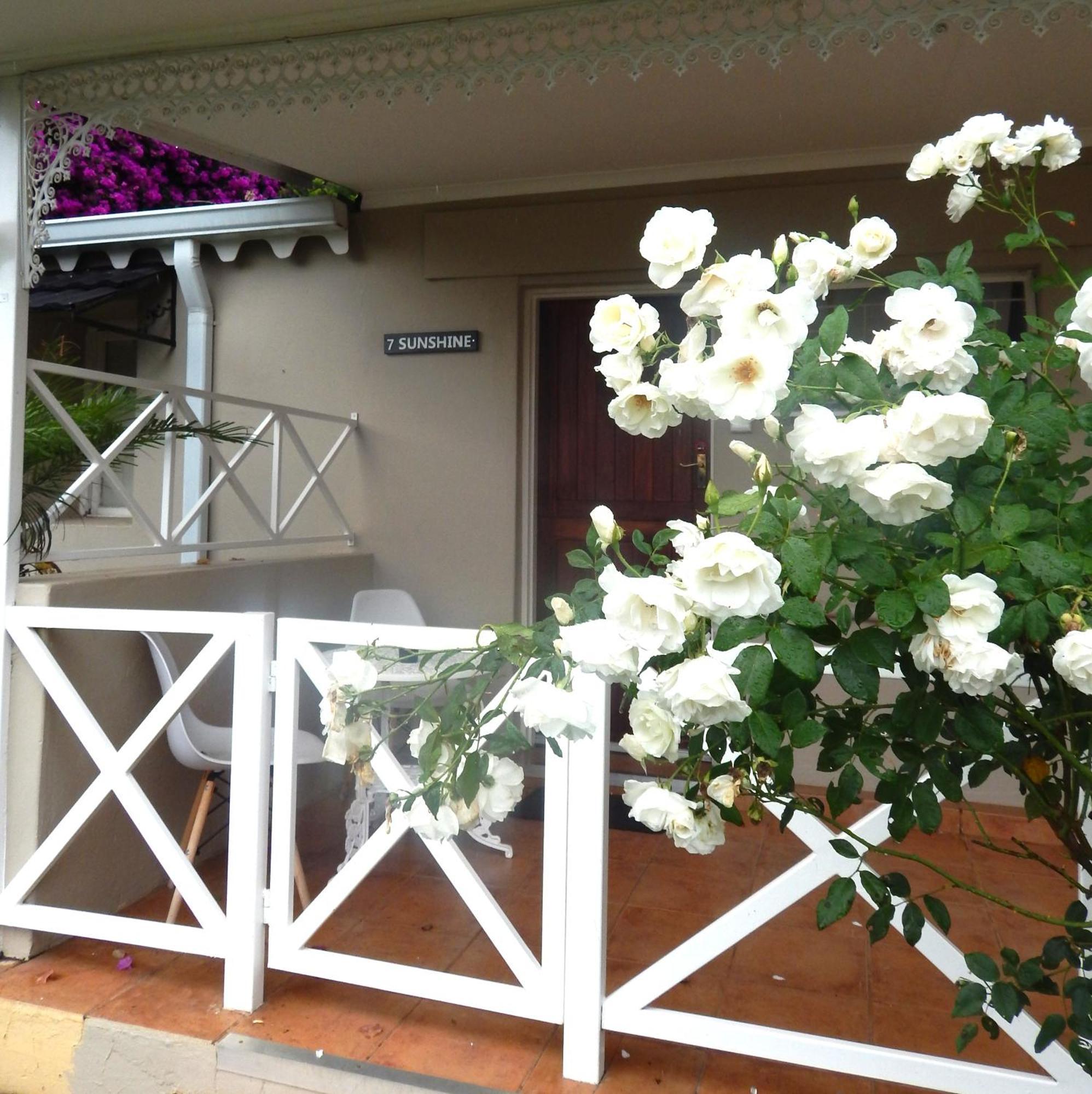 Longtom Farm Guesthouse Lydenburg Extérieur photo