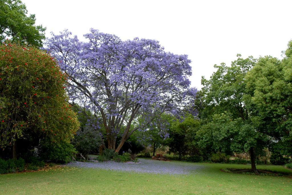 Longtom Farm Guesthouse Lydenburg Extérieur photo